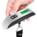 Digitálna cestovná závesná váha na batožinu do 50kg Digitálna cestovná závesná váha na batožinu do 50kg