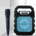 SK-668 Prenosný Bluetooth reproduktor s mikrófonom SK-668 Prenosný Bluetooth reproduktor s mikrófonom